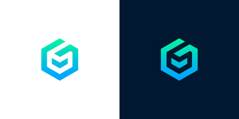 Abstract Geometric Logo Design with Gradient Colors on White and Dark Background