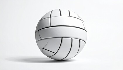 White Volleyball with Traditional Panel Design