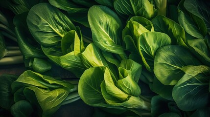 Obraz premium Realistic photo of a bunch of bok choy. top view vegetables scenery