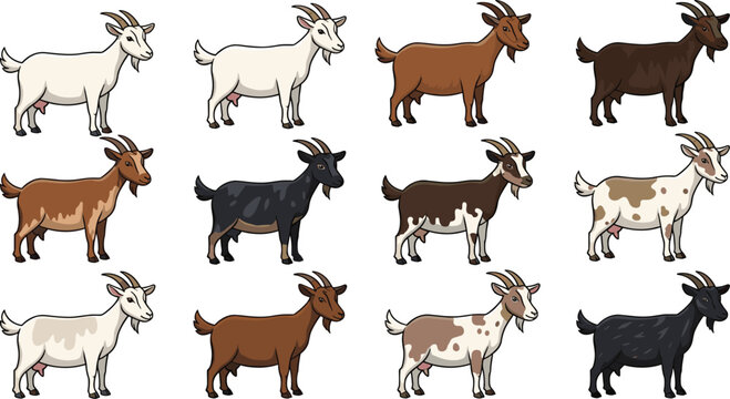 Cartoon goat character set showing different colors and patterns farm animal collection cute flat vector illustration isolated on white background