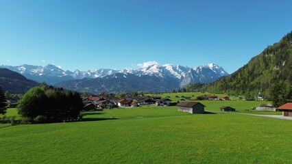 Fototapeta premium Field of wildflowers and distant alpine peaks