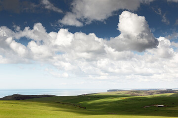 Rolling Green Hills Overlooking a Calm Ocean Under Dramatic Cloudy Sky on a Bright Coastal Day