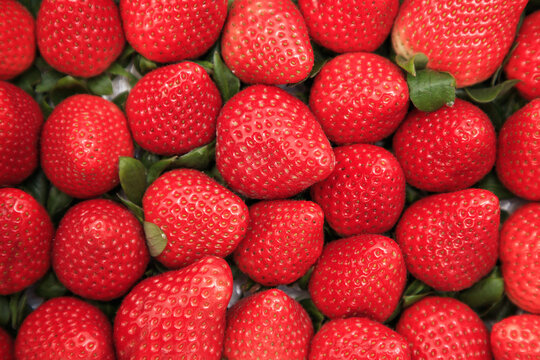 Fresh Red Strawberries Piled High &ndash; Juicy Fruit For Snacks, Desserts, And Breakfast