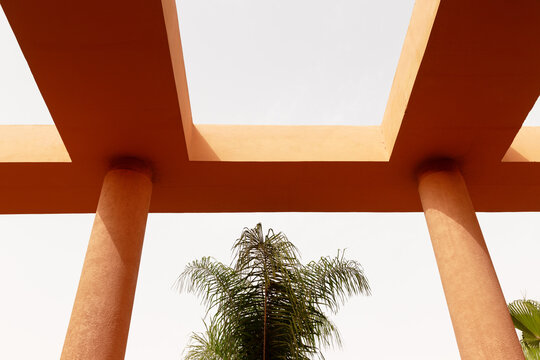Orange Architectural Columns Frame With Palm Tree Under Open Sky