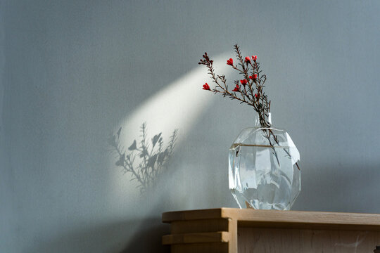 Dried flowers in glass vase under light and shadow
