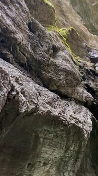 water dripping from the steep rocky walls of partnach gorge while a fast mountain river flows below. early spring atmosphere with melting snow, cold water and dramatic alpine nature in garmisch-parten
