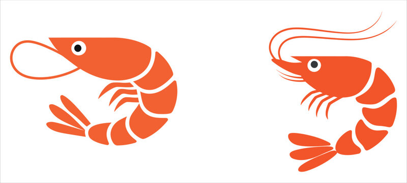 Vibrant orange shrimp icons in different poses.