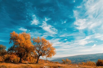 Fototapeta premium Bright autumn landscape with colorful trees under a clear blue sky and fluffy clouds in a serene outdoor setting during daytime