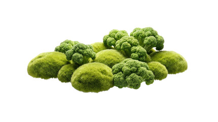 Fototapeta premium A pile of green mossy material is aggregated together in a heap on a plain bright surface, creating a textured white background cutout
