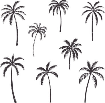 Dark grey hand drawn palm trees handdrawn