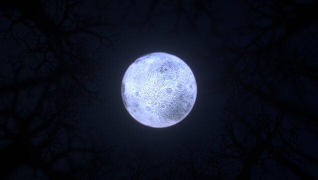 Mysterious Full Moon Night Eerie Silhouettes of Tree Branches Illuminate Dark Sky, Creating Haunting Atmosphere and Intriguing Scene in Forest