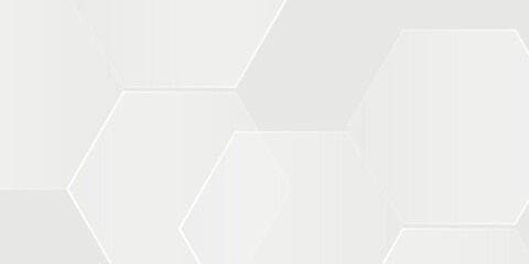 Abstract white and gray background. smooth abstract background, blurred pattern. Light pale vector background. Abstract pale geometric design