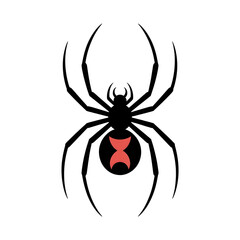 spider on a white background