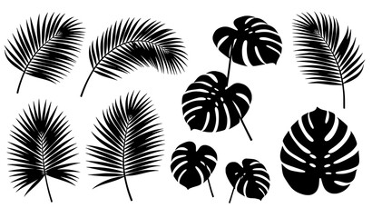 Tropical Palm and Monstera Leaves Realistic 3D Vector Jungle Collection © MstNadiya