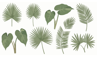 Luxury Tropical Botanical Leaves Vector Set with Palm and Philodendron © MstNadiya