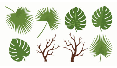 Summer Jungle Palm and Monstera Leaves Vector Botanical Collection © MstNadiya
