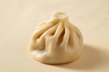 Close up of a single plain bun close up chinese bun