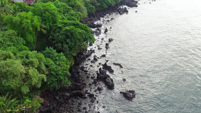 Stunning high angle shot of dark volcanic rocks meeting the clear ocean waves, bordered by dense tropical trees in Flores, Indonesia, at morning.