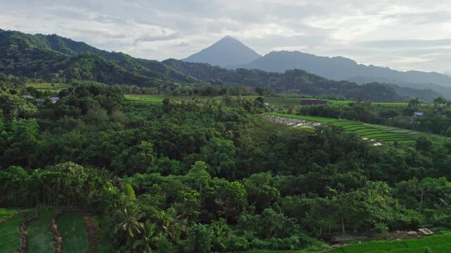 Breathtaking morning view of Mount Inerie volcano towering over vibrant green rice paddies and tropical forest in the rural highlands of Flores.