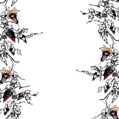 Vineyard seamless banner with fruiting red grapevine, ripe grape clusters on twisted trunks. Isolated illustration hand drawn in watercolor and ink for menus, winery tour promotion, catalog work.