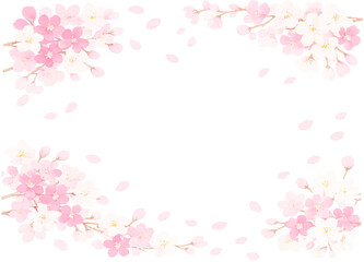 満開の春の桜の花のフレーム　合格発表のイラスト素材
