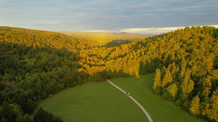 Obraz premium AERIAL: Beautiful hilly wooded countryside bathing in late afternoon autumn sun