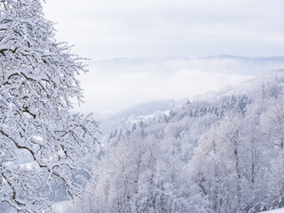 Obraz premium Beautiful view of snow-covered hilly countryside after freshly fallen snow