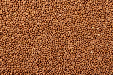Fototapeta premium buckwheat background