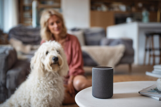 Woman and Dog with Amazon Echo in Modern Living Space