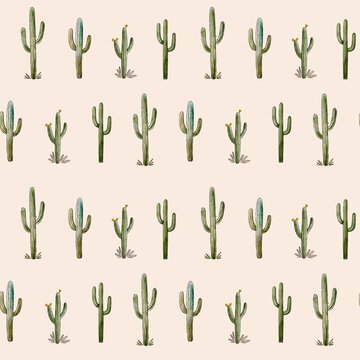 Cactus Background" Images  Browse 2,728 Stock Photos, Vectors, and Video |  Adobe Stock
