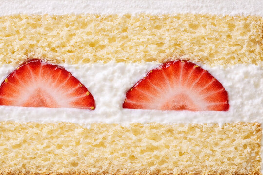 Close-up of strawberry shortcake cross section, layered sponge cake with fresh strawberries and whipped cream