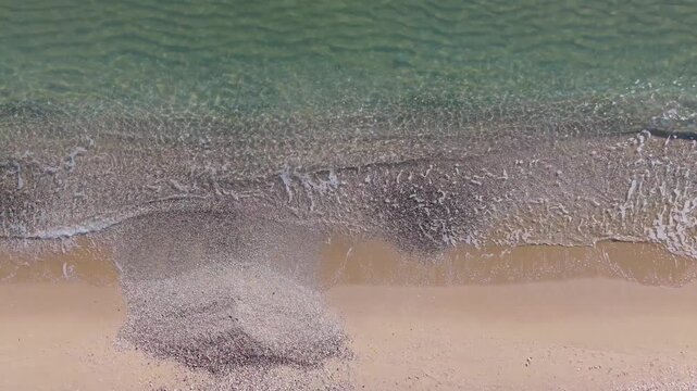 Minimal drone shot of green coastal water and beach border forming clean abstract seascape perfect for backgrounds
