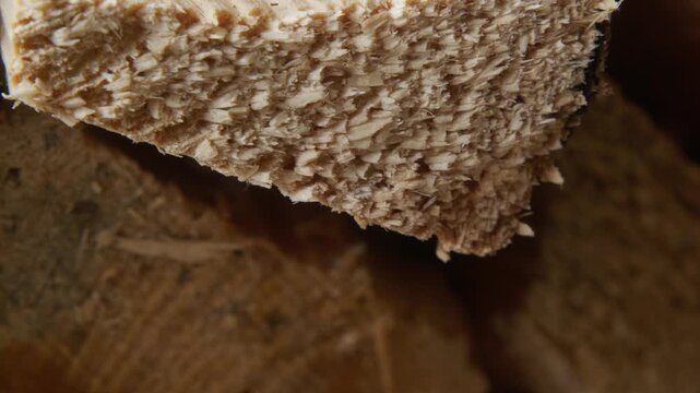 Detailed view of the textured grain and fibrous structure of a freshly split firewood log showing natural timber patterns