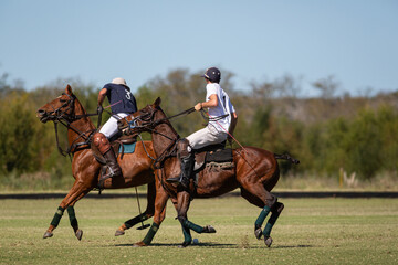 Polo horses, players, workers, tools, gear, equipment, field, sport.