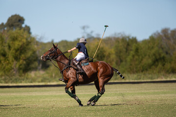 Polo horses, players, workers, tools, gear, equipment, field, sport.