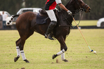 Polo horses, players, workers, tools, gear, equipment, field, sport.