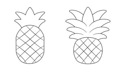 vector illustration of pineapple fruit