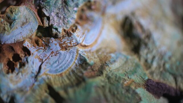 Super macro shot of malachite under stroboscopic lighting, captured through microscope objective at 2&times; magnification and 15 mm field of view. Textural detail and optical effect