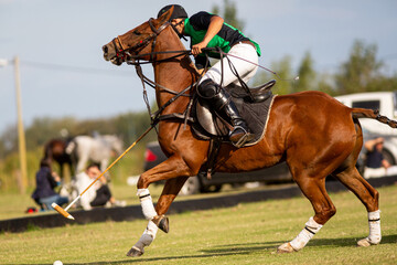 Polo horses, players, gear, equipment, tools, workers, field, sport