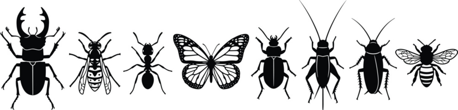 Insect silhouettes collection isolated on white background, butterfly beetle ant fly cockroach set, entomology and biology illustration, minimalist black wildlife design concept vector art