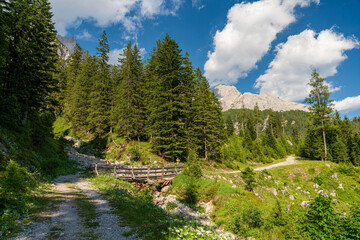  Gravel Trail The Austrian