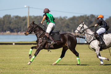 Polo horses, players, gear, equipment, tools, workers, field, sport