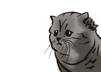 illustration of a cat on the white © Sergejs Katkovskis