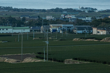 日本・元旦の中原公園からの景色