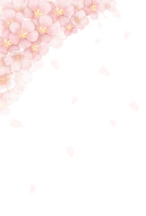 桜の背景〈ハガキ〉　B-1