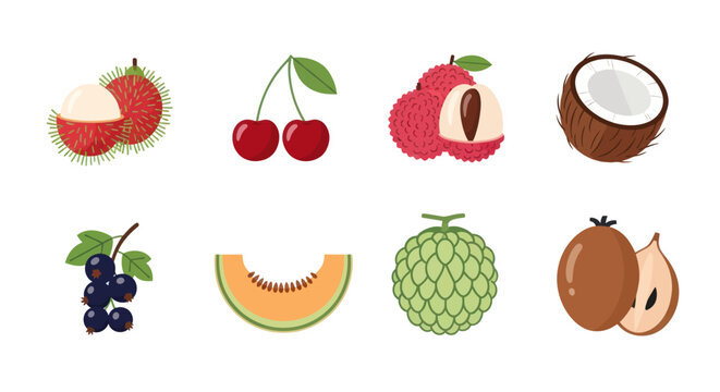 Assorted tropical fruit collection illustration