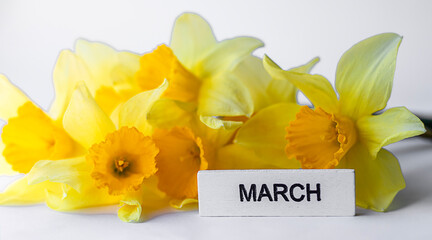 Bright yellow daffodil bouquet for springtime decor and nature photography in March