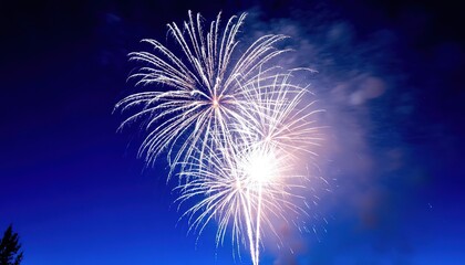 fireworks against a dark blue sky.