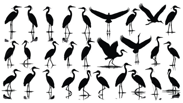 WebBlack vector silhouette set of herons and egrets for concepts of wetland wildlife coastal nature water birds and birdwatching branding
