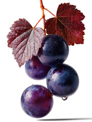 bunch of purple grapes with leaves